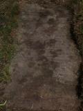 image of grave number 507633